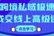 跨境私域极速成交线上高级课