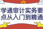 学通审计实务要点从入门到精通课