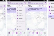 APM 第三方Bilibili音频播放器 v3.0.2