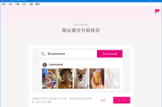 4K Tokkit(tiktok视频下载器) v2.8.0.1000 多语便携版