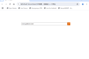 SRWare Iron(基于谷歌开发的浏览器) v129.0.6550.0 中文绿色版