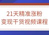 21天精准涨粉变现干货视频课程