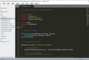 Sublime Text 4.0 Build 4200 Stable 绿色破解版
