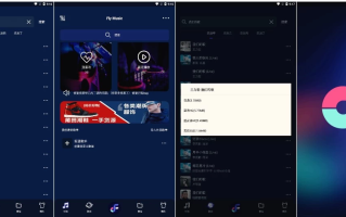 Fly音乐 v1.3.1 飞翔音乐，界面美观的音乐听歌、搜索、下载软件，解锁专业版
