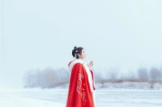 朔风吹散三更雪，倩魂犹恋桃花月。