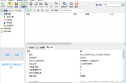 BitComet(比特彗星) v2.10 官方安装版 & 绿色版