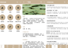 中草药宝典 v2.6