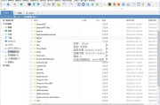 多标签文件管理器XYplorer v27.00.0800 中文绿色便携版