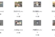 中国八大菜系视频课（800道菜品）