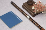 从零开始学竹笛（笛子基础、1-6级考级）教学课程
