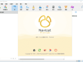 Navicat Premium(数据库管理工具) v17.3.6 中文高级版