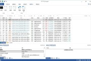 网络抓包工具 HTTP Debugger Pro v9.9 免激活汉化版