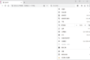 360极速浏览器X版 v22.3.3195.0 绿色便携版