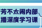 芳芳不太闲内部直播深度学习课