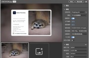 Copicseal 图片水印工具 v0.3.5