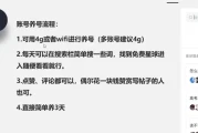 知识星球个人IP打造系列课程