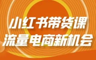 小红书带货课流量电商新机会