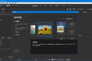 矢量绘图软件 Adobe Bridge 2025 v15.1.0.635 中文破解版