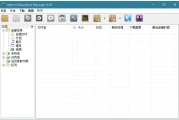 IDM Internet Download Manager 下载利器 v6.42.25 绿色版