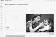 Wise ImageX 1.2.5.7 便携+绿色版 - 图像增强