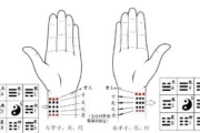 太素脉法入门教程 秘传脉法断人吉凶
