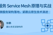 微服务 Service Mesh 原理与实战