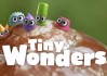BBC少儿科普动画《小奇迹 Tiny Wonders (视频+音频) 》