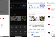 Lemur 狐猴浏览器 v2.7.3.010