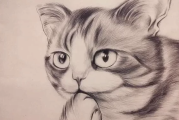 素描零基础直达四级课程