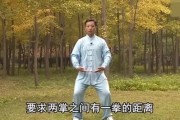 中华健身养生操合集（电子书、视频）