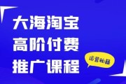大海淘宝高阶付费推广课程