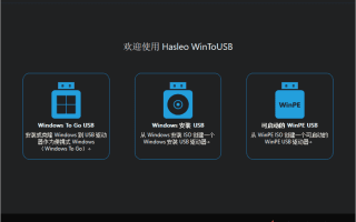 WinToUSB(U盘安装操作系统工具) v10.0.0.2 多语便携版 WinToUSB(U盘安装操作系统工具) v10.0.0.2 多语便携版