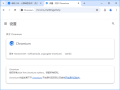 Ungoogled-Chromium v131.0.6778.139-1.1 中文绿色版