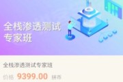 拼客学院：陈鑫杰全栈渗透测试专家班课程，视频+资料源码(208G)