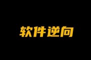 天野：软件逆向破解实战29期，基础到实战