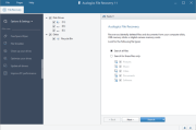 Auslogics File Recovery(恢复丢失文件) v12.0.0.0 便携版