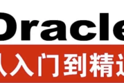 Oracle从入门到精通（第4版）- 带源码课件