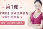 小A变大D美胸术