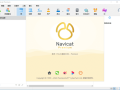 Navicat Premium(数据库管理工具) v17.1.12 中文破解版
