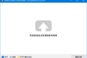 DLNow Video Downloader v1.54.2025.03.13 多语便携版