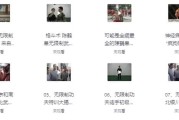 陈鹤皋“无限制格斗”实战训练视频