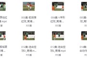 校园足球教学视频教程