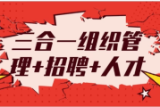 三合一组织管理+招聘+人才