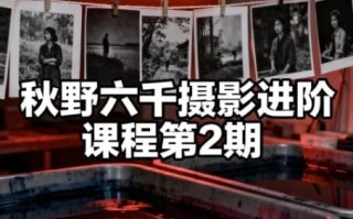 秋野六千摄影进阶课程第2期