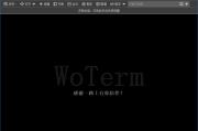 Woterm(跨平台远程管理工具) v10.1.2-202502071020 中文绿色版