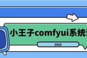 2025年小王子comfyui系统课