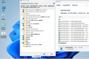 小修 Windows 11 Pro (22631.4247) 轻度精简 二合一 (2024.09.25)