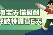 淘宝天猫盈利突破特训营6天