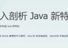 深入剖析 Java 新特性