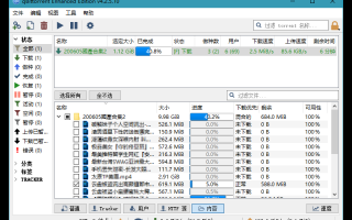 BT客户端下载软件 qBittorrent v5.1.3 绿色增强便携版